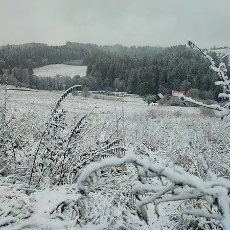 Tatil Evi Kopanicowki