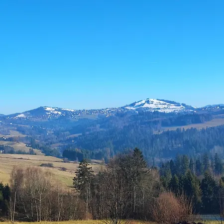 Kopanicowki 펜션 *