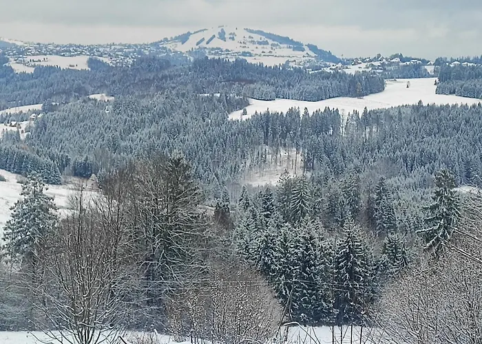 Kopanicowki * 加沃尔金卡