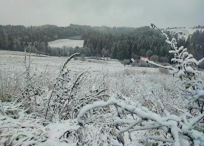 בית נופש Kopanicowki