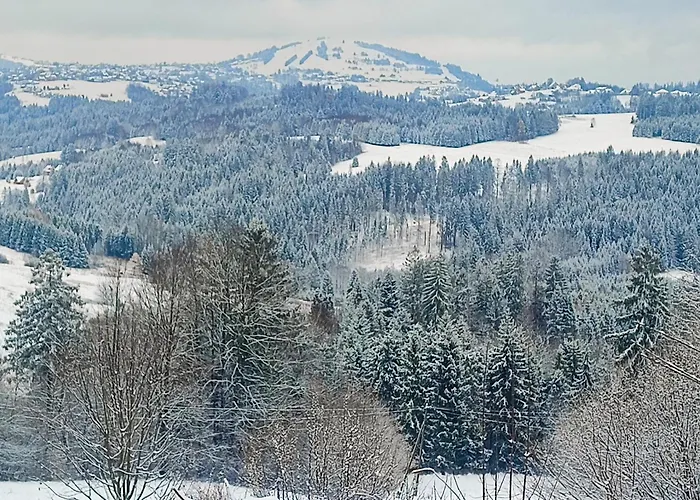 בית נופש Kopanicowki *